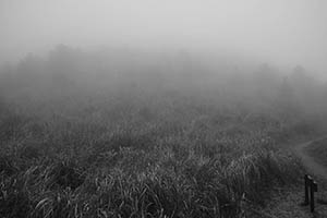 Mist, Ma On Shan Country Park, 15 February 2015