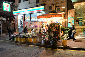 Flower shop displaying flowers on sale for Lunar New Year celebration, Wing Lok Street, Sheung Wan, 18 February 2015