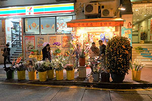 Flower shop displaying flowers on sale for Lunar New Year celebration, Wing Lok Street, Sheung Wan, 18 February 2015