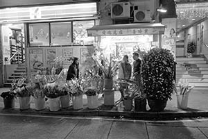 Flower shop displaying flowers on sale for Lunar New Year celebration, Wing Lok Street, Sheung Wan, 18 February 2015