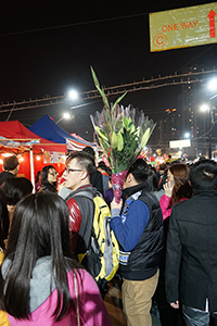 Lunar New Year Fair, Victoria Park, Causeway Bay, 18 February 2015
