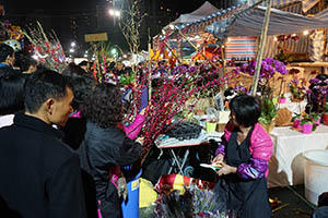 Booths selling flowers at the Lunar New Year Fair, Victoria Park, Causeway Bay, 18 February 2015