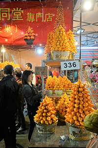 Potted plants for sale at the Lunar New Year Fair, Victoria Park, Causeway Bay, 18 February 2015