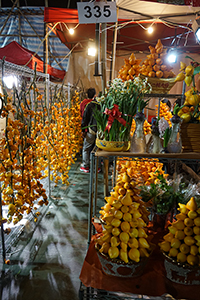 Potted plants for sale at the Lunar New Year Fair, Victoria Park, Causeway Bay, 18 February 2015