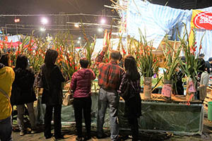 Flowers for sale at the Lunar New Year Fair, Victoria Park, Causeway Bay, 18 February 2015