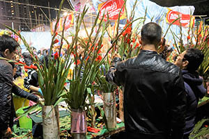 Flowers for sale at the Lunar New Year Fair, Victoria Park, Causeway Bay, 18 February 2015