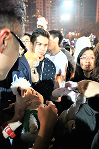 Lunar New Year Fair, Victoria Park, Causeway Bay, 18 February 2015