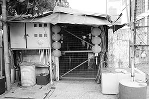 Lanterns, Western Fire Services Street, Sheung Wan, 20 February 2015