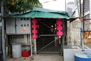 Lanterns, Western Fire Services Street, Sheung Wan, 20 February 2015