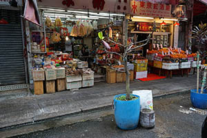 Shops on Poplar Street, Prince Edward, 21 February 2015