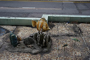 Fish, Tai Kok Tsui, 21 February 2015