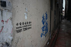 Graffiti on the wall of an alleyway, Tai Kok Tsui, 21 February 2015