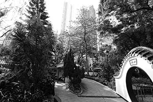 Hollywood Road Park, Sheung Wan, 27 March 2015