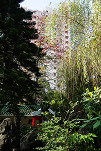 Hollywood Road Park, Sheung Wan, 27 March 2015