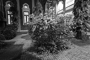 Courtyard at night, Main Building, HKU, 13 March 2015