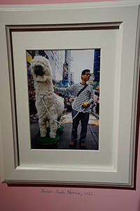 A photograph showing Kacey Wong with a 'Grass Mud Horse' at Kacey Wong’s exhibition, Amelia Johnson Contemporary, Central, 4 March 2015