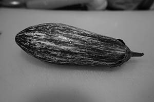 An eggplant on a chopping board, Sheung Wan, 23 March 2015