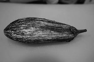 An eggplant on a chopping board, Sheung Wan, 23 March 2015