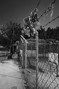 Rubbish caught on barbed wire, Western Fire Services Street, Sheung Wan, 20 April 2015