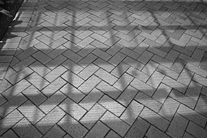 Shadows, HKU campus, Pokfulam, Hong Kong Island, 13 May 2015