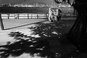 Shadows of leaves on the ground, with Victoria Harbour seen in the background, Central and Western District Promenade, Sheung Wan, 26 May 2015