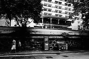 Tree growing on a wall, Hollywood Road, Central, 24 May 2015