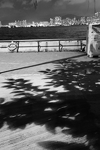 Shadows of leaves on the ground, with Victoria Harbour seen in the background, Central and Western District Promenade, Sheung Wan, 26 May 2015