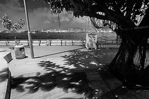 Shadows of leaves on the ground, with Victoria Harbour seen in the background, Central and Western District Promenade, Sheung Wan, 26 May 2015