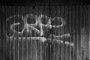 Graffiti on shutters, Tai Hang, 31 May 2015