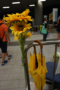 Sunflowers and an umbrella, placed as part of a political protest outside the Legislative Council, Admiralty, 17 June 2015