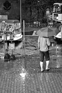 Outside the HKU East Gate: Bonham Road in rain, 2 June 2015