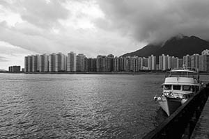 Ma Liu Shui Ferry Pier, Sha Tin, 21 June 2015