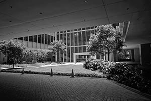 HKU Centennial Campus, 11 July 2015