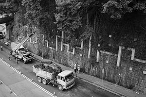Branches of trees growing on a stone wall being cut down due to public safety concerns, Pokfulam Road, 26 August 2015