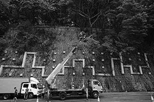 Branches of trees growing on a stone wall being cut down due to public safety concerns, Pokfulam Road, 26 August 2015