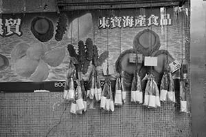 Dried fish hanging outside a shop, Sheung Wan, 5 September 2015