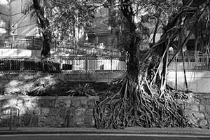 Bonham Road, 25 September 2015