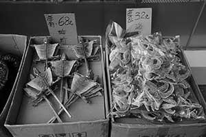 Dried lizards and starfish for sale, Sheung Wan, 3 September 2015