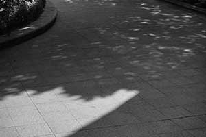 Grand Millennium Plaza, Sheung Wan, 13 September 2015