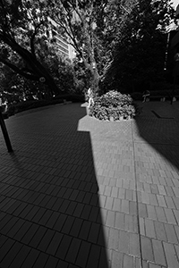 HKU campus, Pokfulam, 25 September 2015