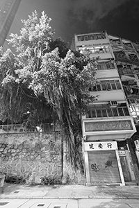 Queen's Road West, Sheung Wan, 26 September 2015