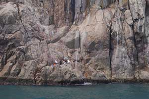 Rocky coastline in the Hong Kong UNESCO Global Geopark, New Territories, 20 September 2015