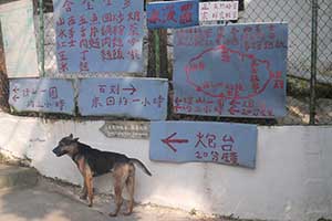 Signage, Tung Lung Island, 20 September 2015