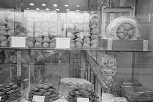 Bird's nest and abalone in a shop window display, Sheung Wan, 16 October 2015