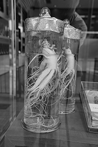 Preserved ginseng in a shop window display, Sheung Wan, 16 October 2015