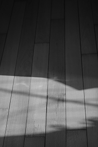 Shadows cast on the wooden floor of an apartment, Sheung Wan, 24 October 2015