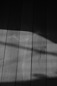 Shadows cast on the wooden floor of an apartment, Sheung Wan, 24 October 2015
