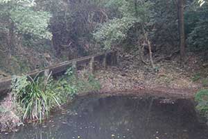 Tai Tam Country Park, 21 October 2015