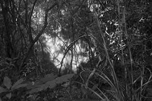 Tai Tam Country Park, 21 October 2015