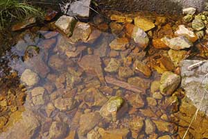 Tai Tam Country Park, 21 October 2015